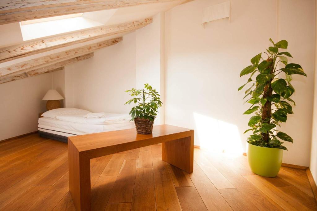 Kozna Loft photo