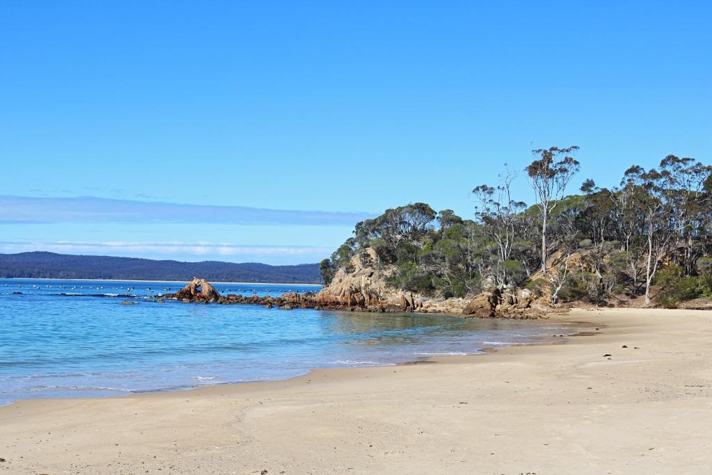 Jodi's Beach Retreat Eden photo