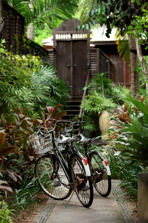 スポーツ/アクティビティ