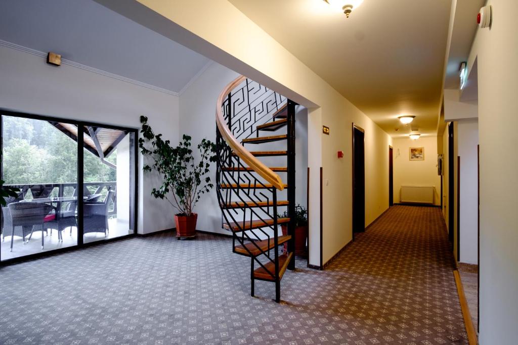 Baia Mare Racsa Route Planner Distance Time And Costs