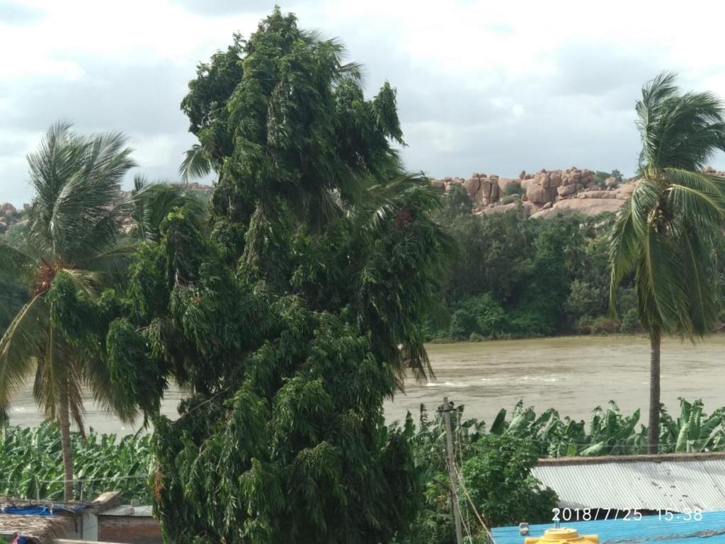 Surrounding environment