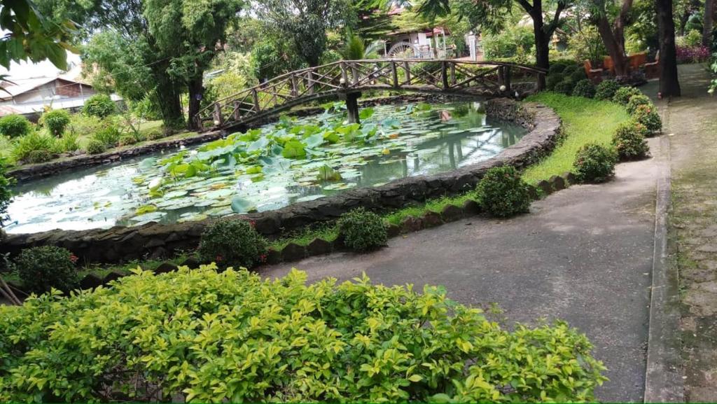 ทัศนียภาพ