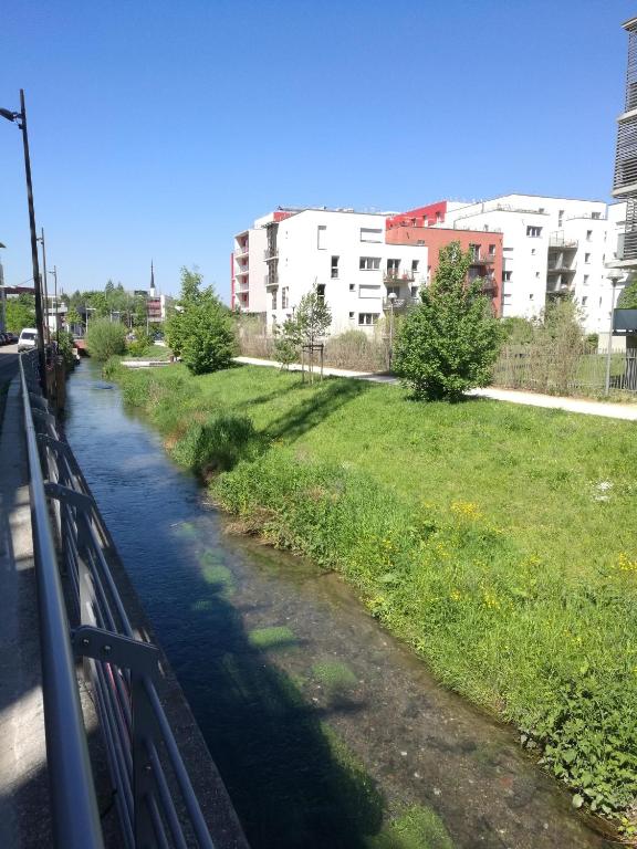 Grand appartement proche CHU - 5