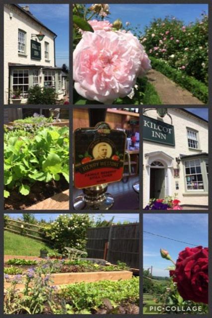 The Kilcot Inn photo