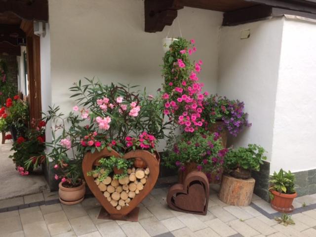 Gasthof Waldrast - 4