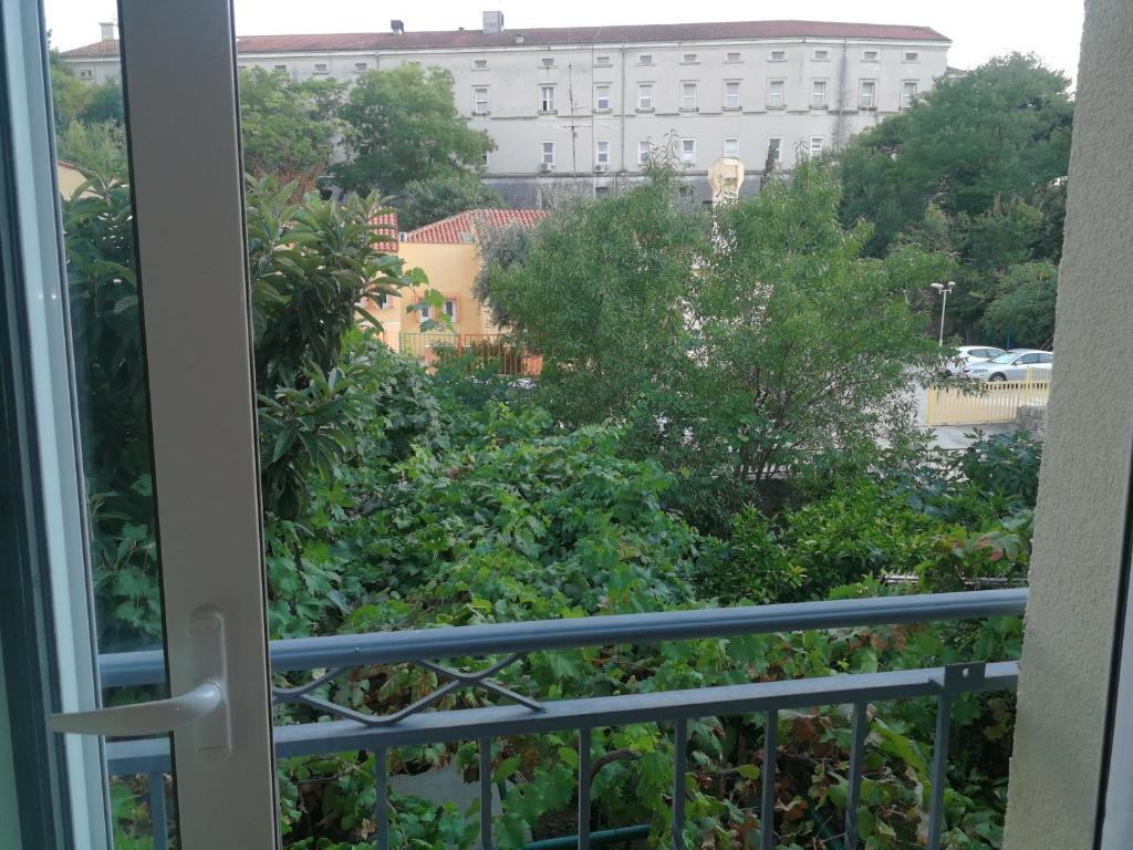 Rooms Marana photo