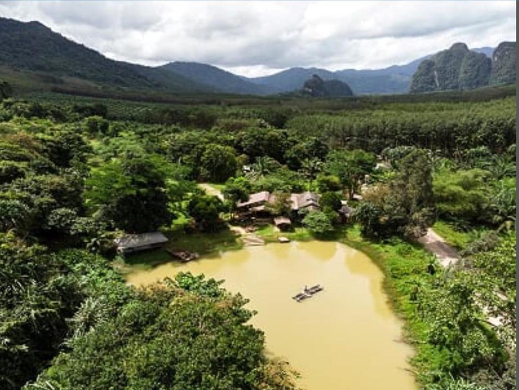 Khaosok Homestay Resort photo