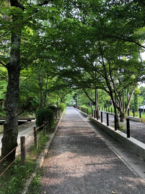 Surrounding environment