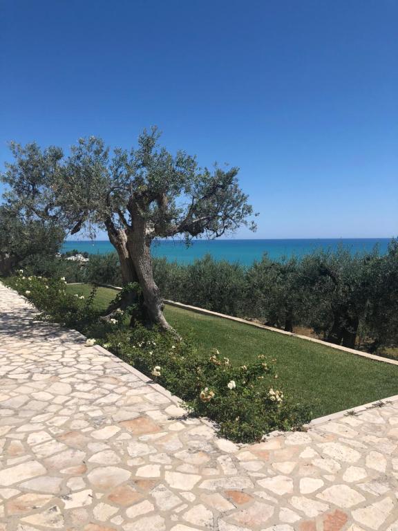 Villa Sami - 4
