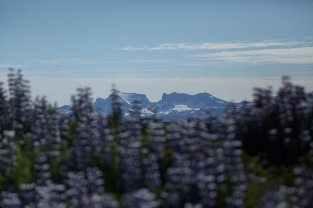 Surrounding environment