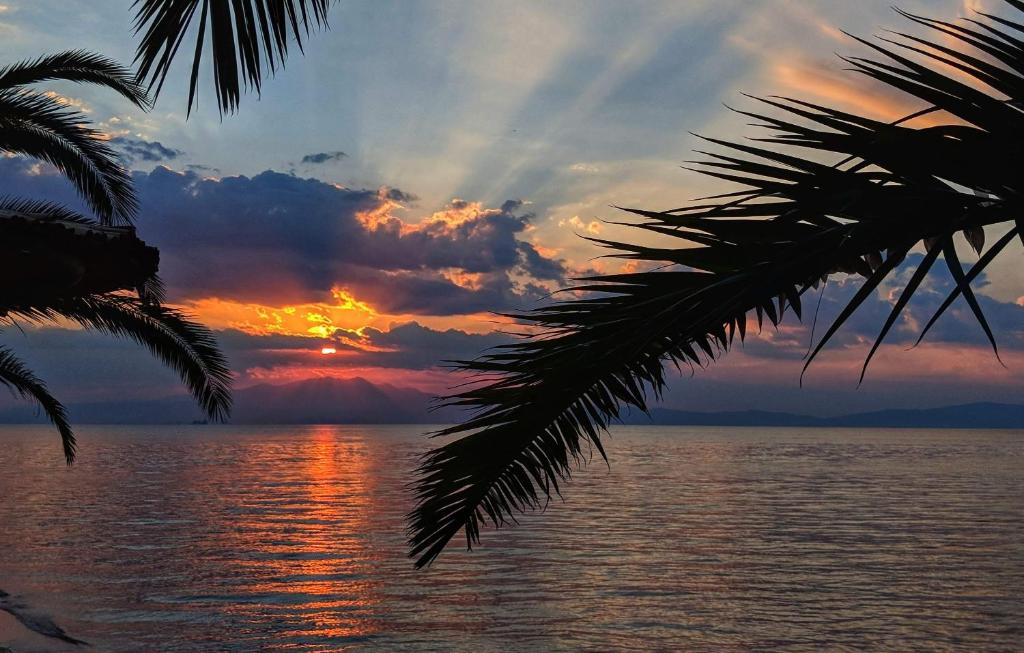 Golden Sunset — Hotel in Thassos