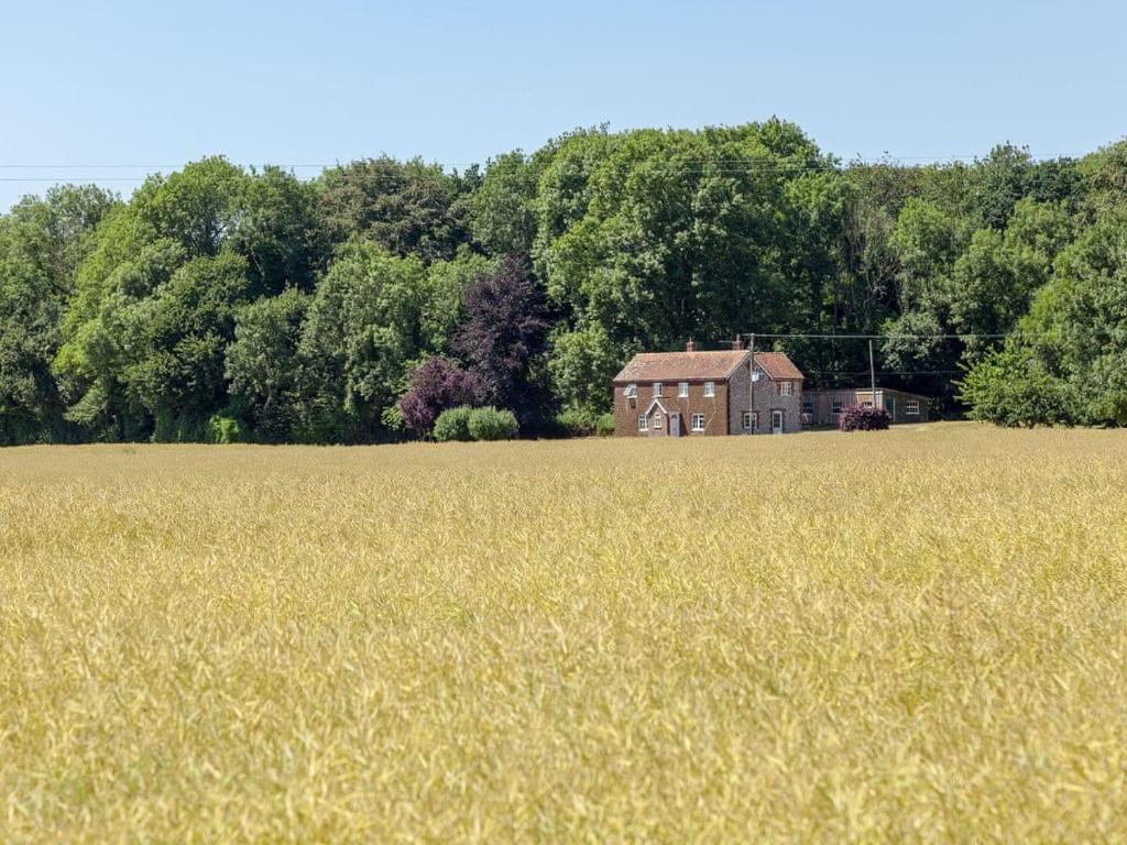 Vacation Rentals and Holiday homes in Clanfield, United Kingdom price