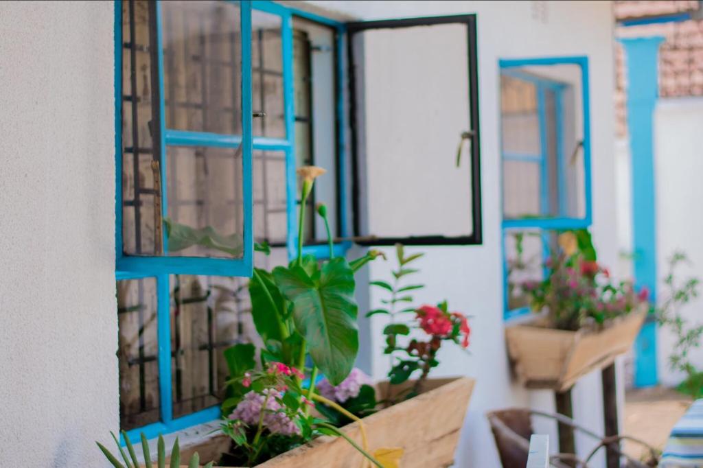 Mambo Arusha Hostel photo