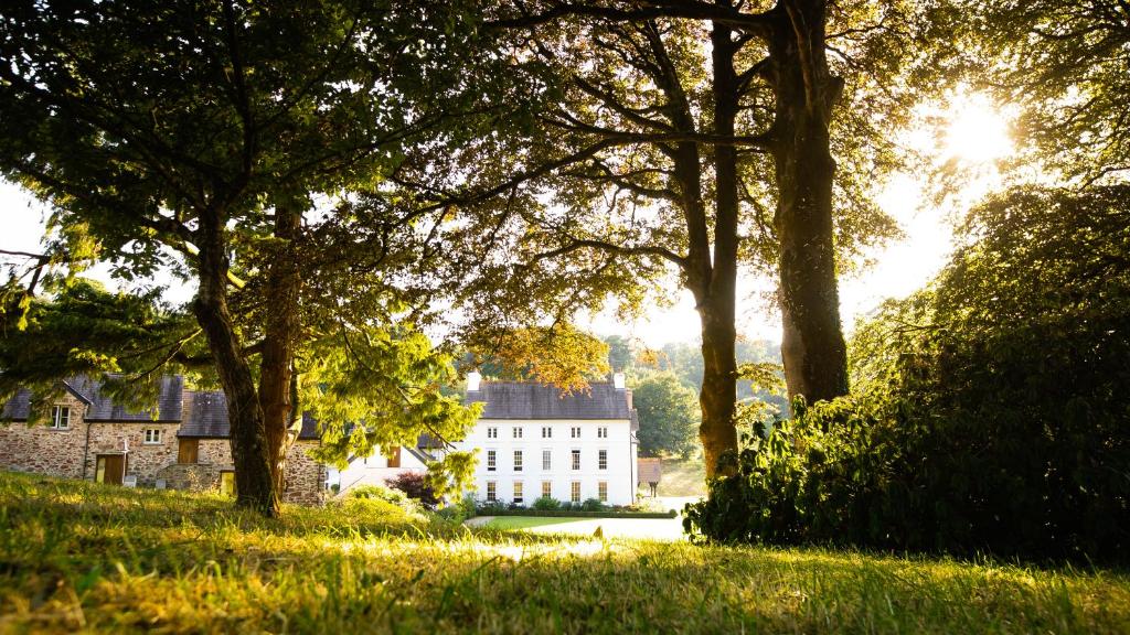 Grove of Narberth — Hotel in Narberth