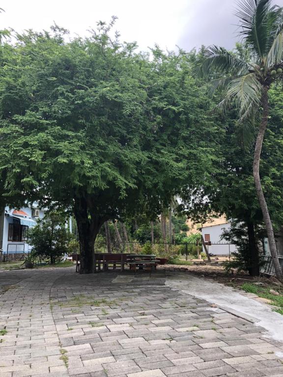 Bi Homestay photo