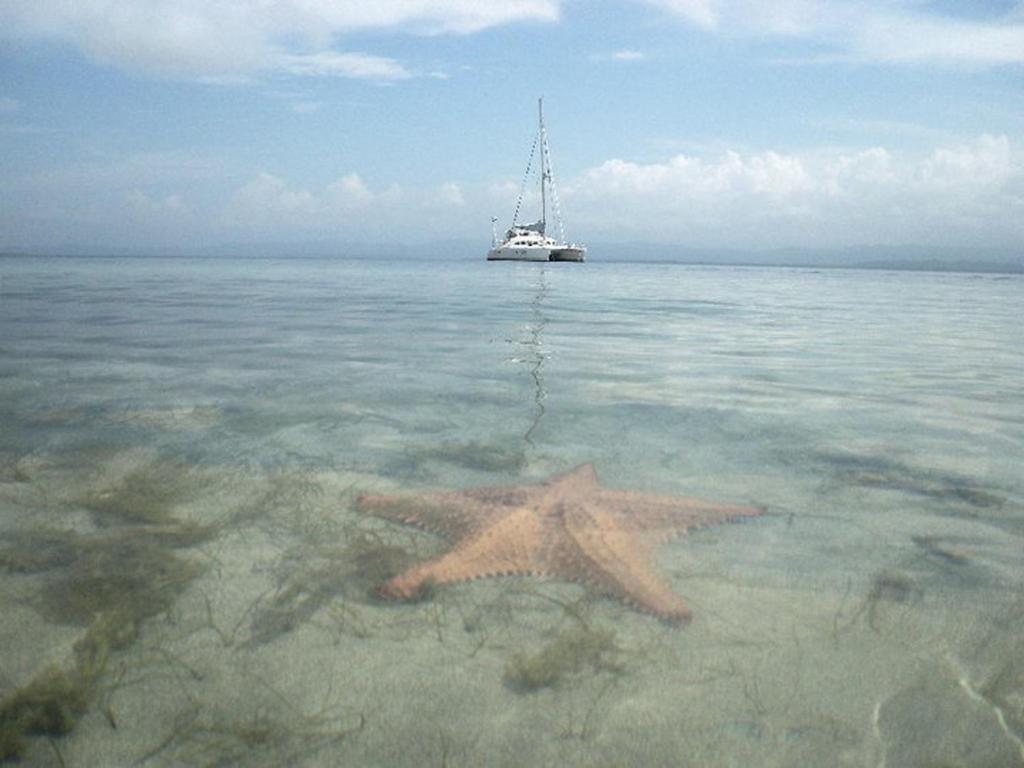 Punta Caracol Acqua Lodge photo