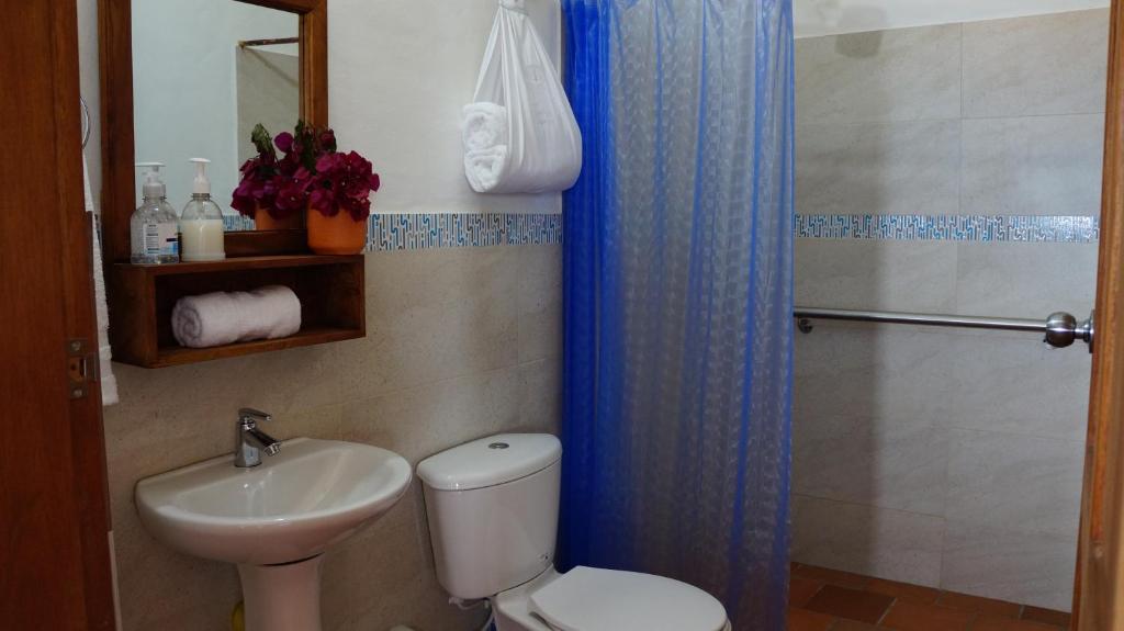 Timbarra Cottage photo