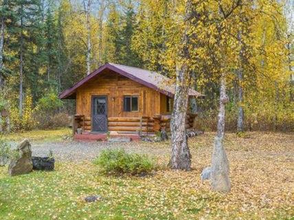 Talkeetna Fireweed Cabins photo