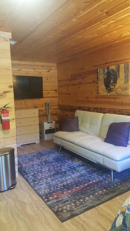 Talkeetna Fireweed Cabins photo