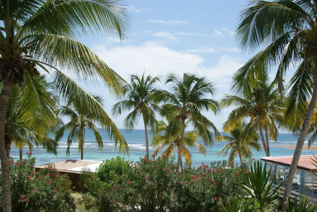 Studio Bleu Coco, Saint-François