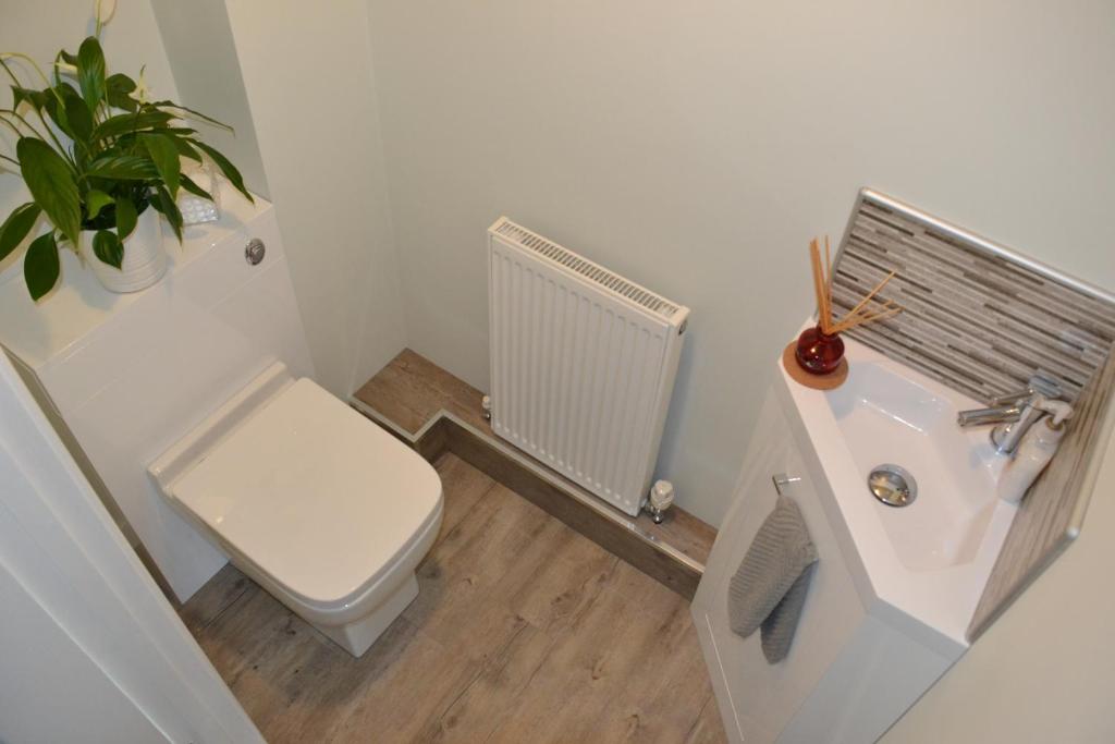 Little Dene Apartment photo