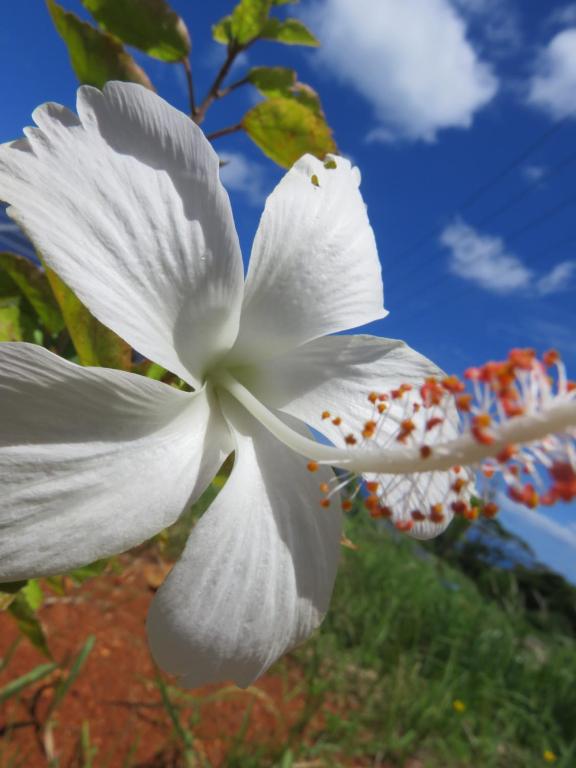 Surrounding environment