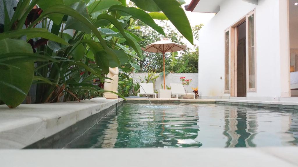 Villa Ummangur 2 BR Private Villa Near Lovina photo