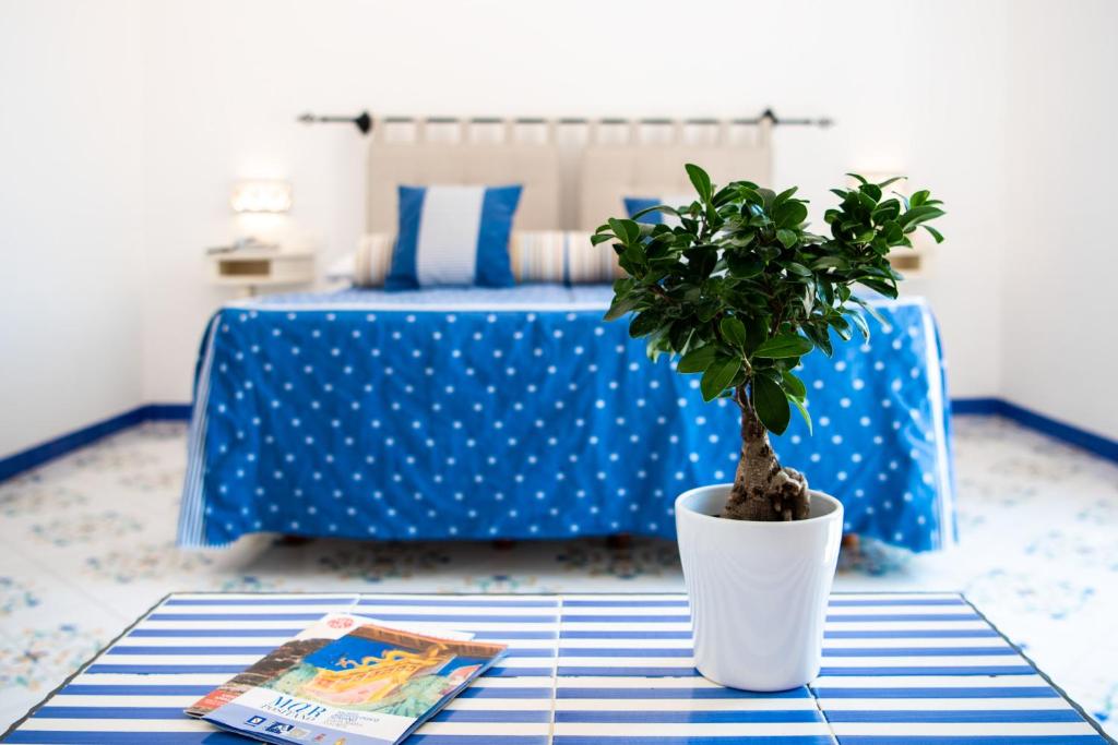 Alcione Residence - 4