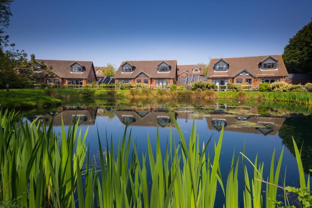 Surrounding environment, The Lakes Rookley Holiday Park in Isle of Wight