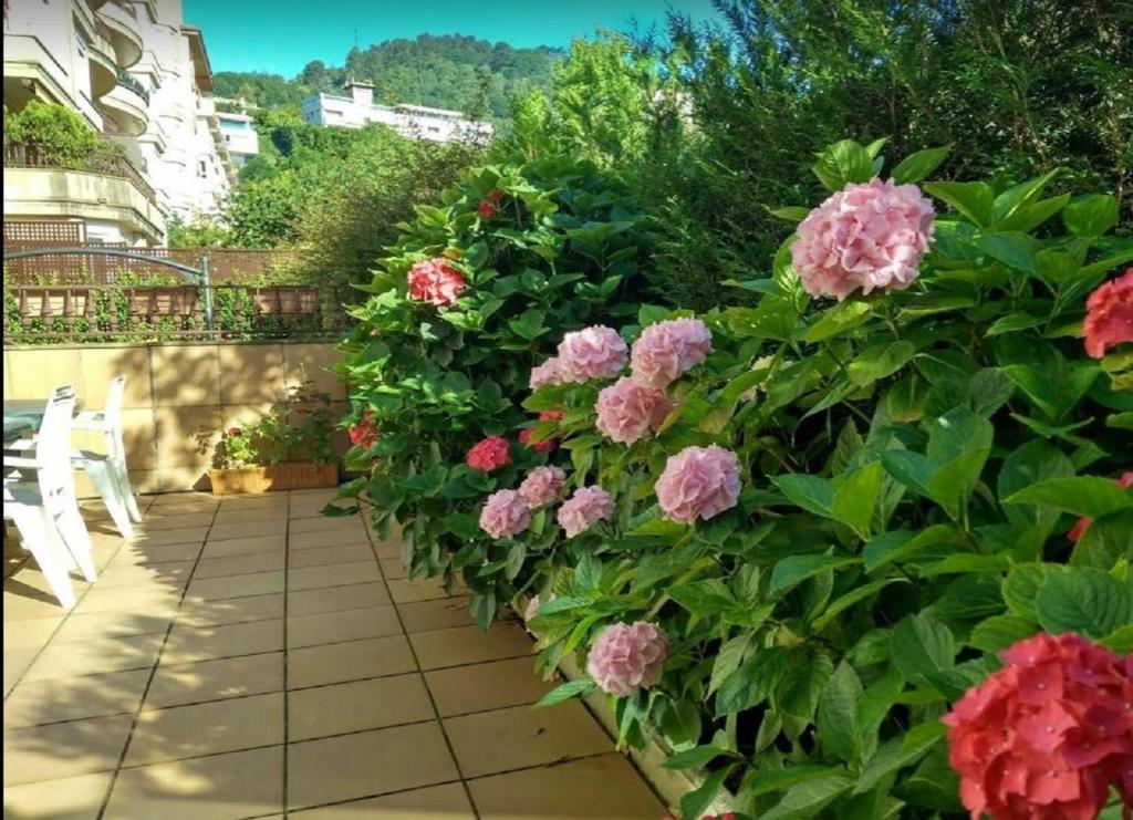 Ondarreta Beach & Terrace - 2