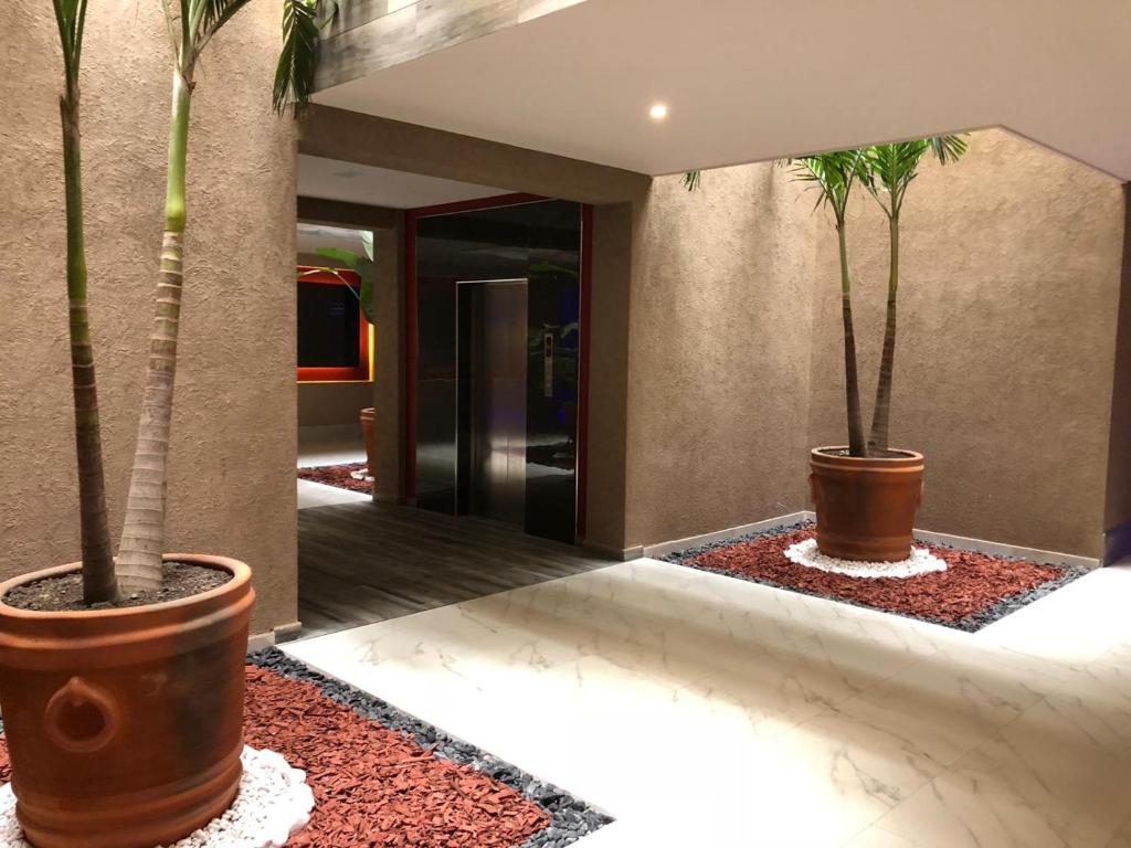 Hotel Plaza Arteaga photo