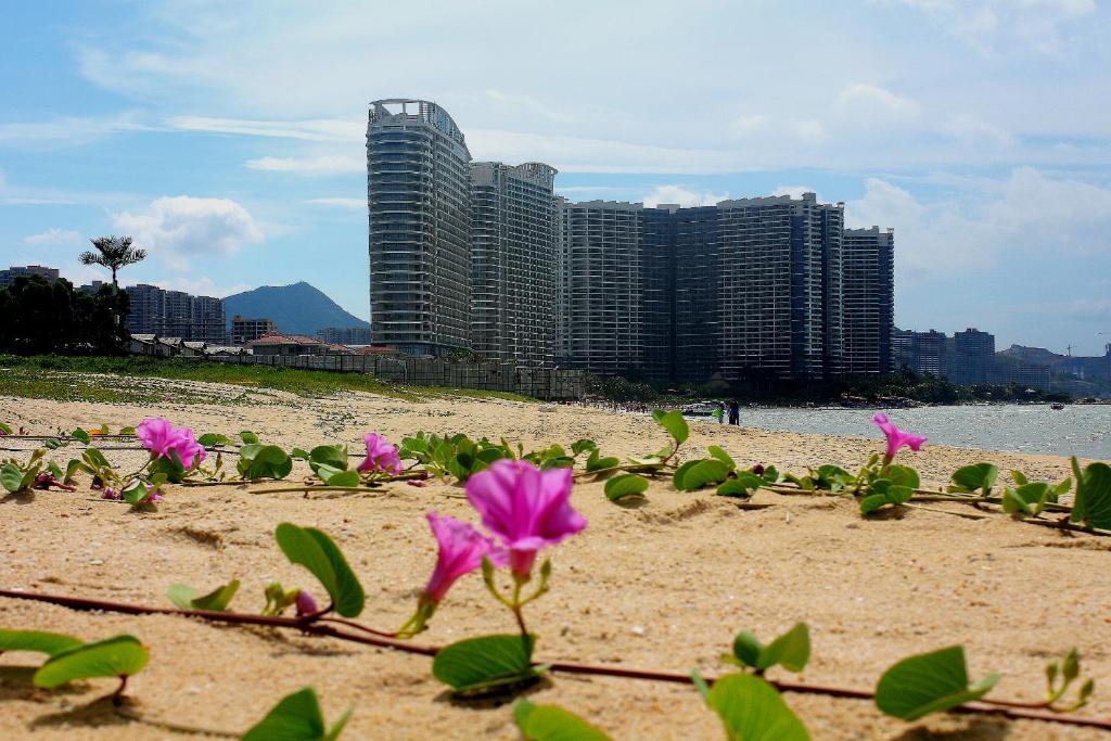 The Silver Beach Country Garden Apartment photo