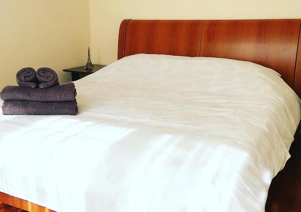 Apartment in city center, Kyjev