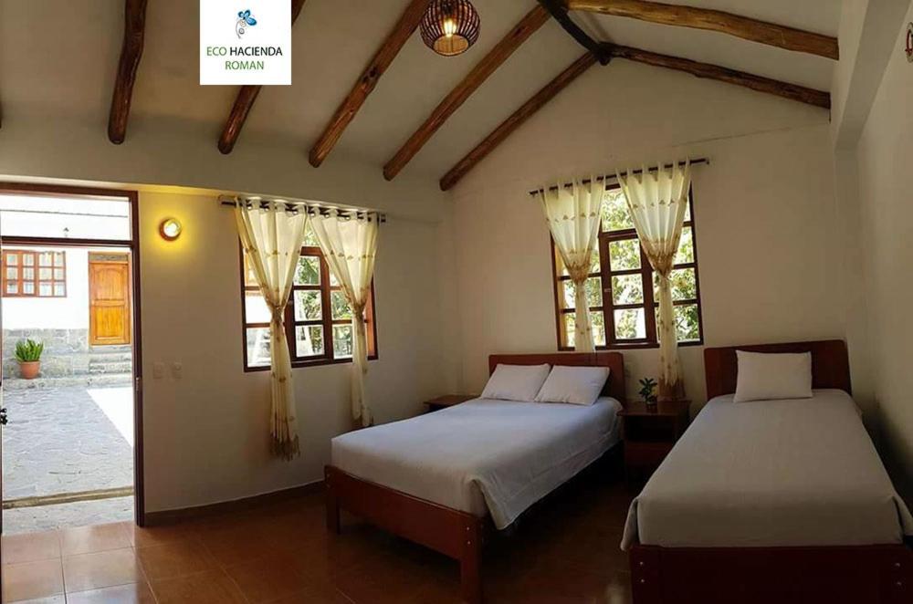 Eco Hacienda Roman photo