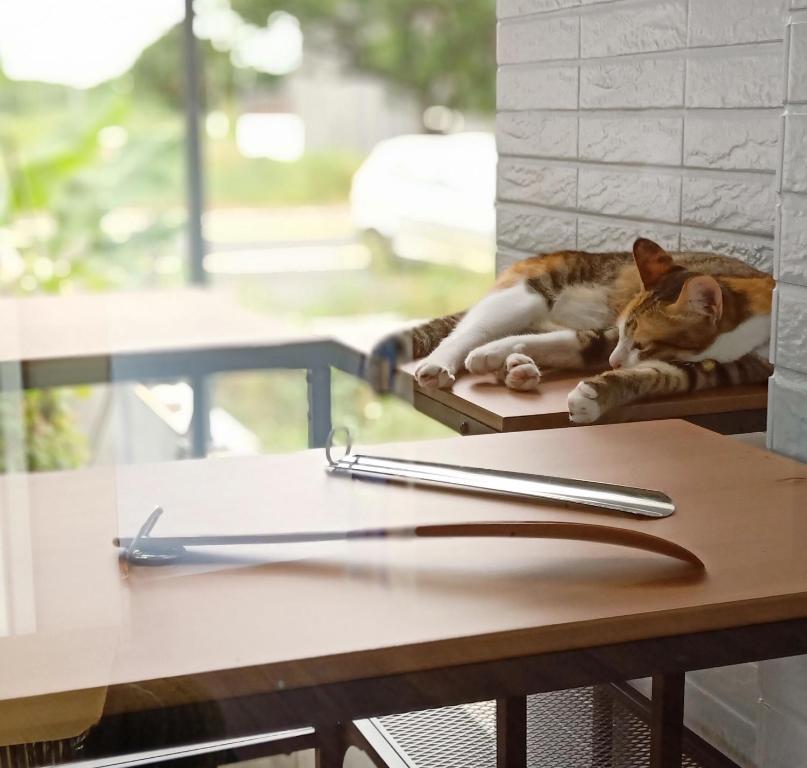 HomeStay LB 호텔 이미지 2