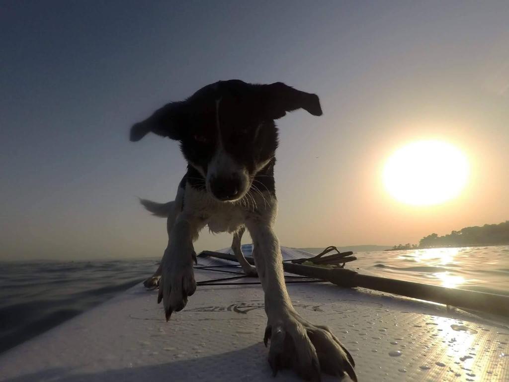 Sports and activities