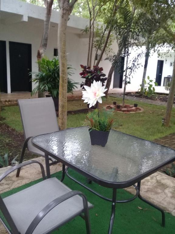 Garden, Hotel 41 Valladolid in Valladolid