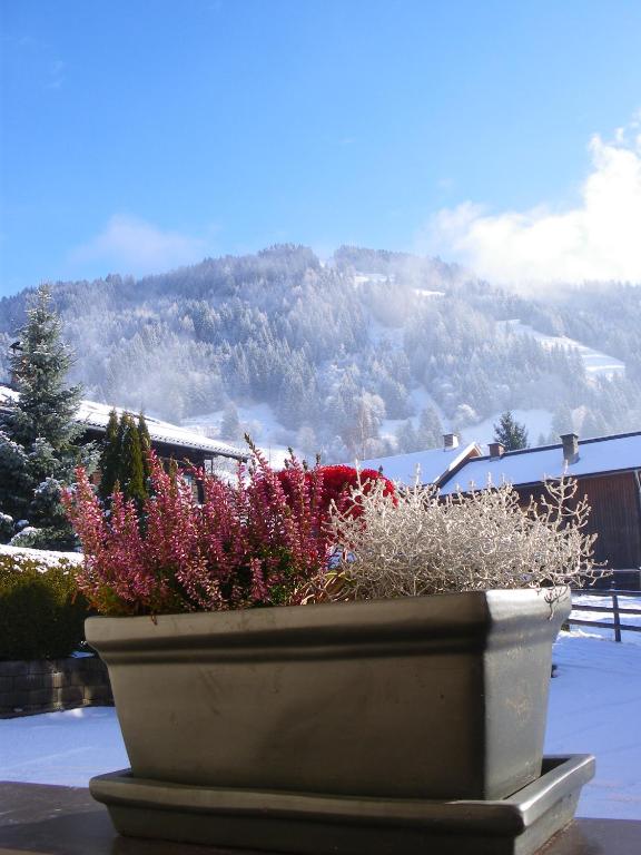 Haus Kathrin - 4