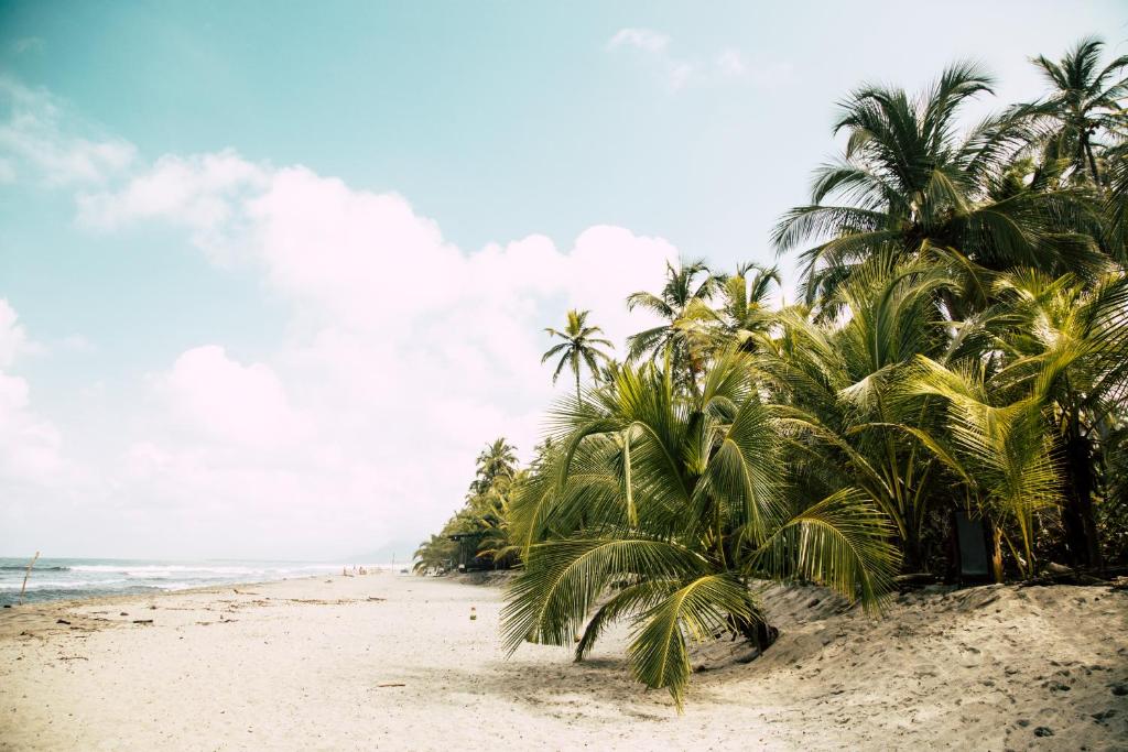 Surrounding environment