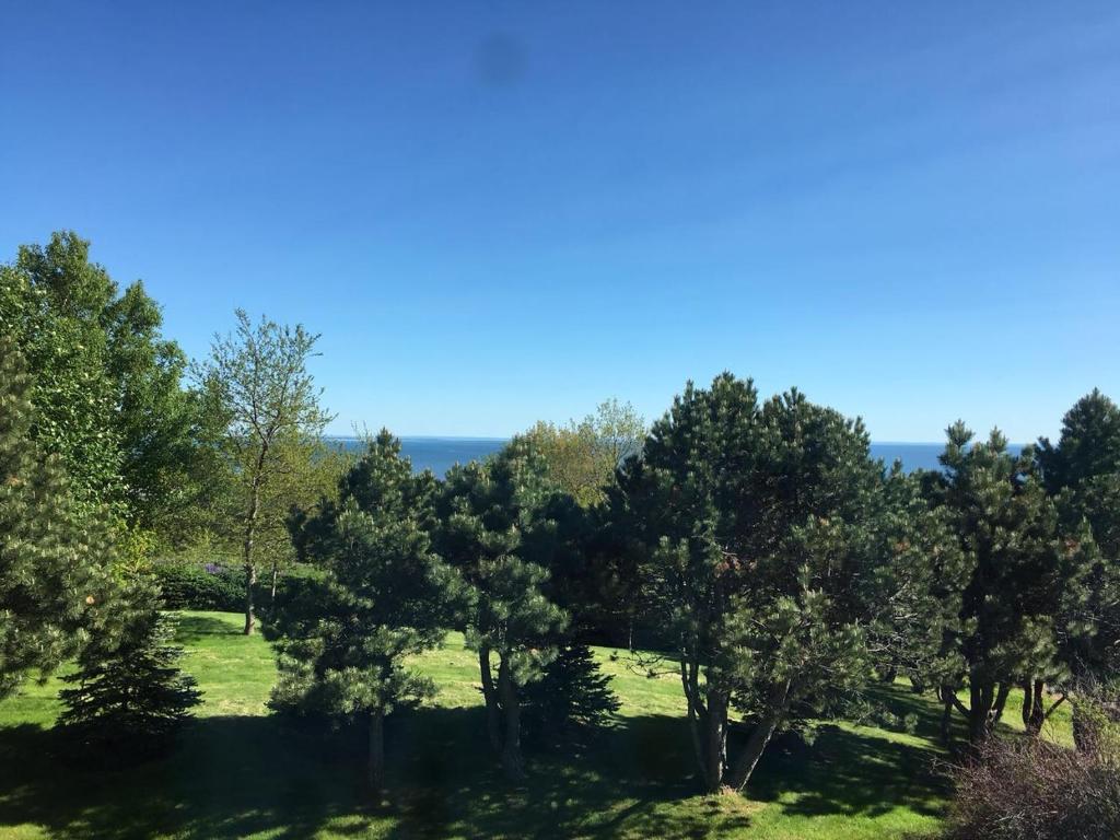 Seaview White House photo