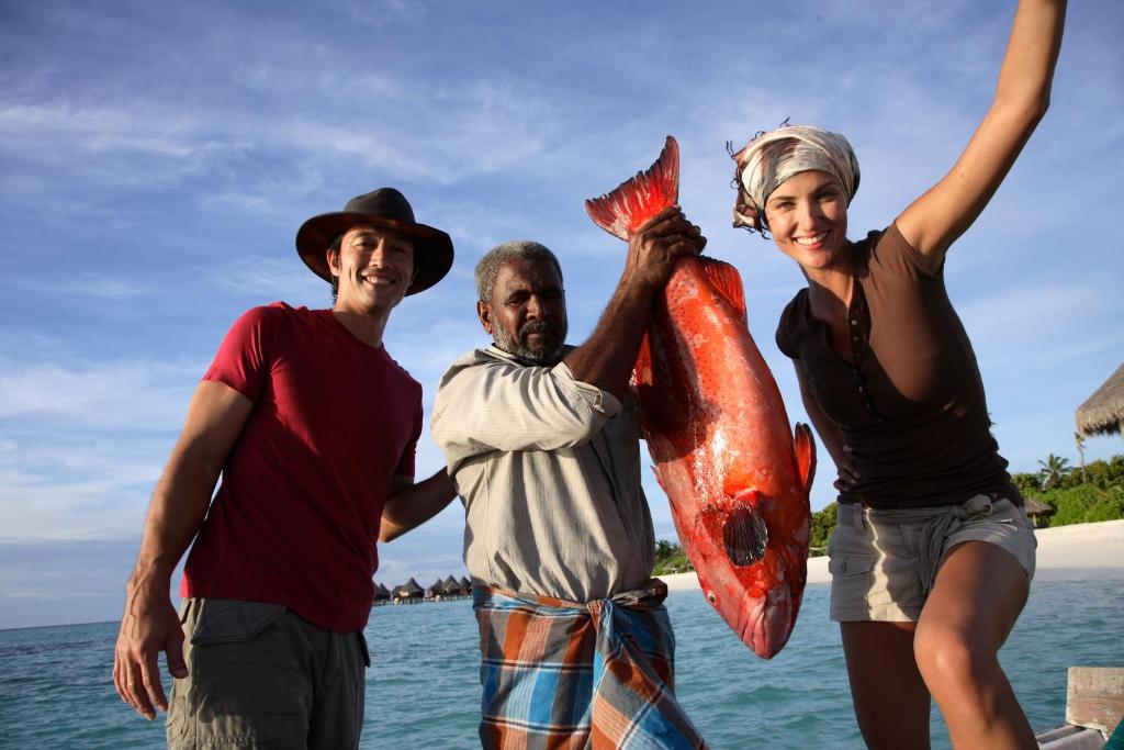 アクティビティ