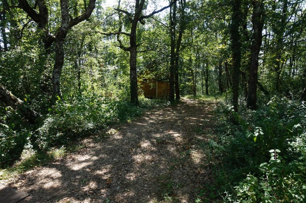 La Cabane aux Reves photo