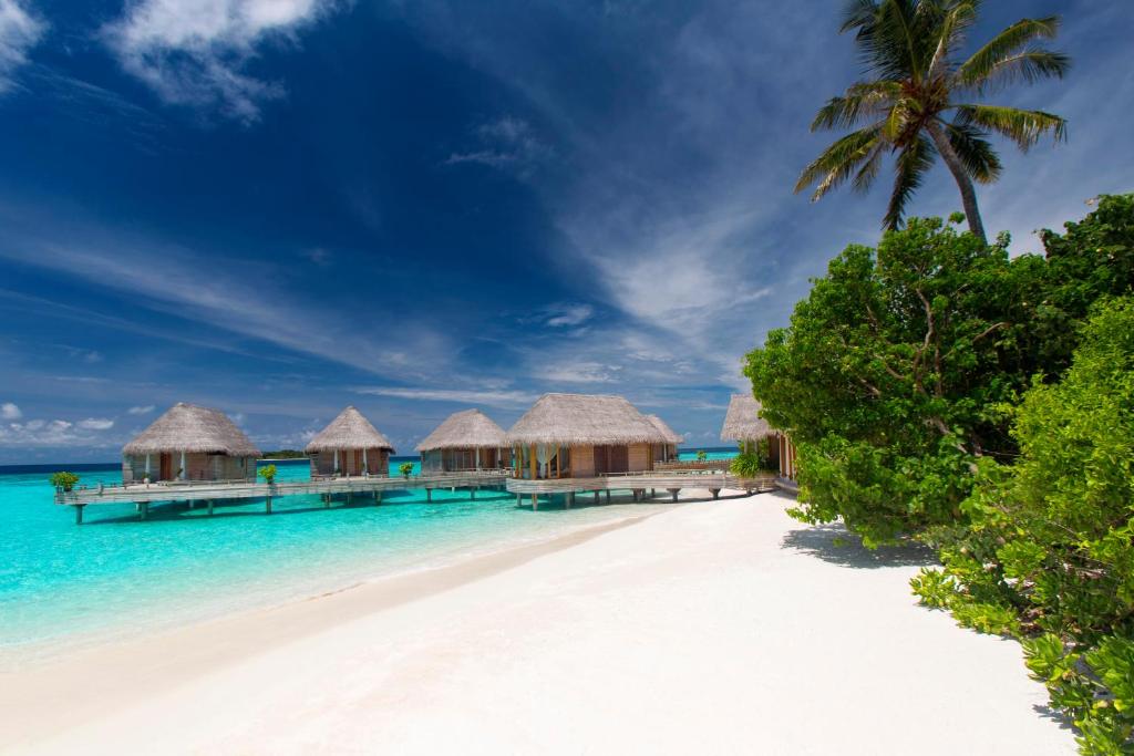 Milaidhoo Maldives, Maldive Islands | 2024 Updated Prices, Deals