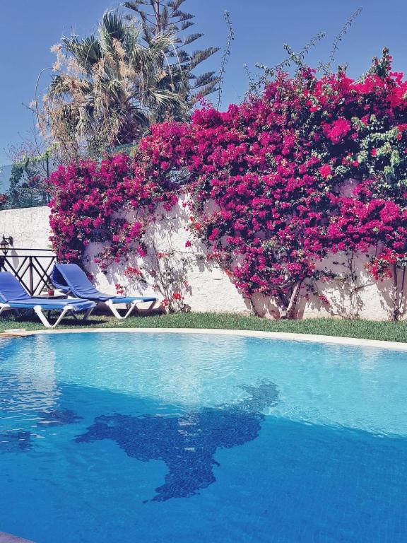 Hotel do Cerro — Swimming pool in Albufeira, Faro