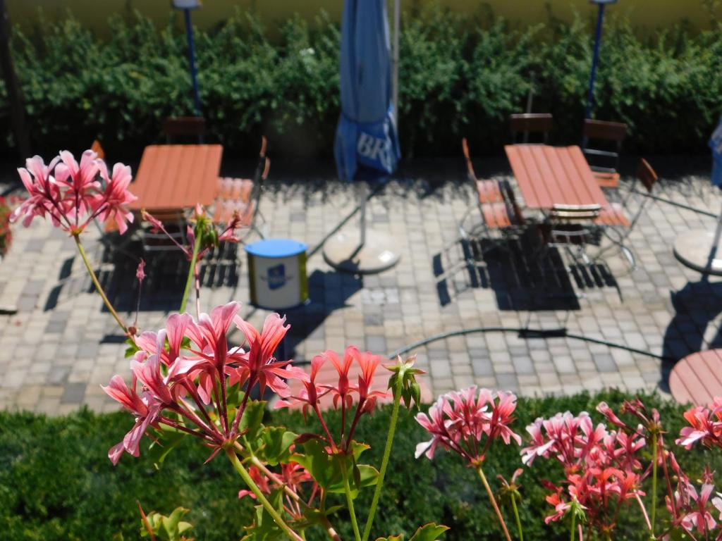 Hotel Hecht Garni photo