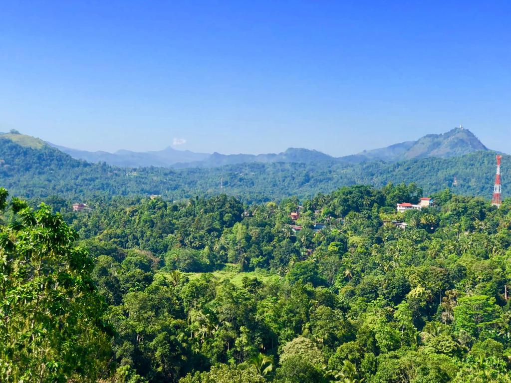 المنطقة المحيطة