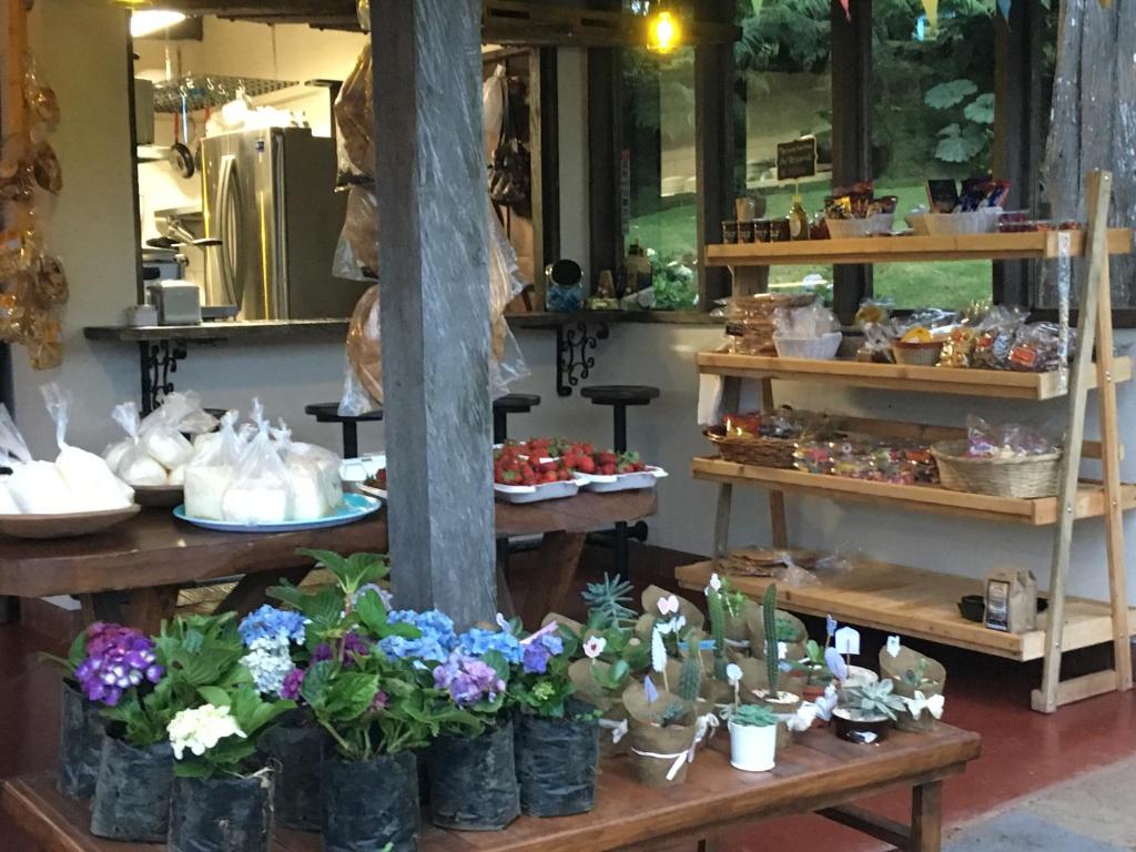 Shops