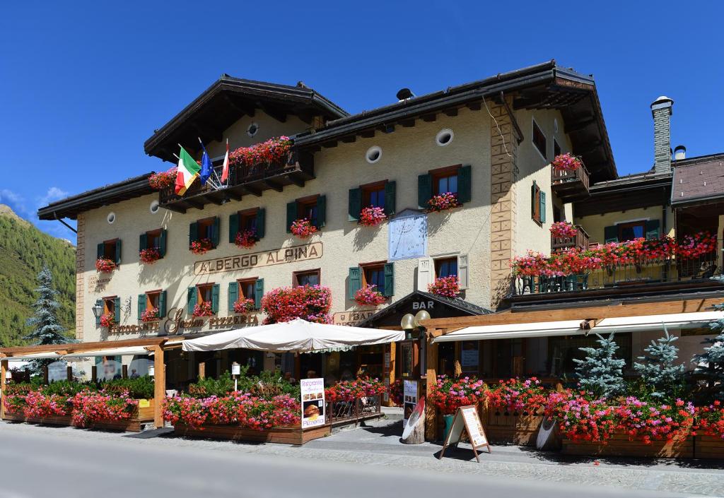 Hotel Alpina photo