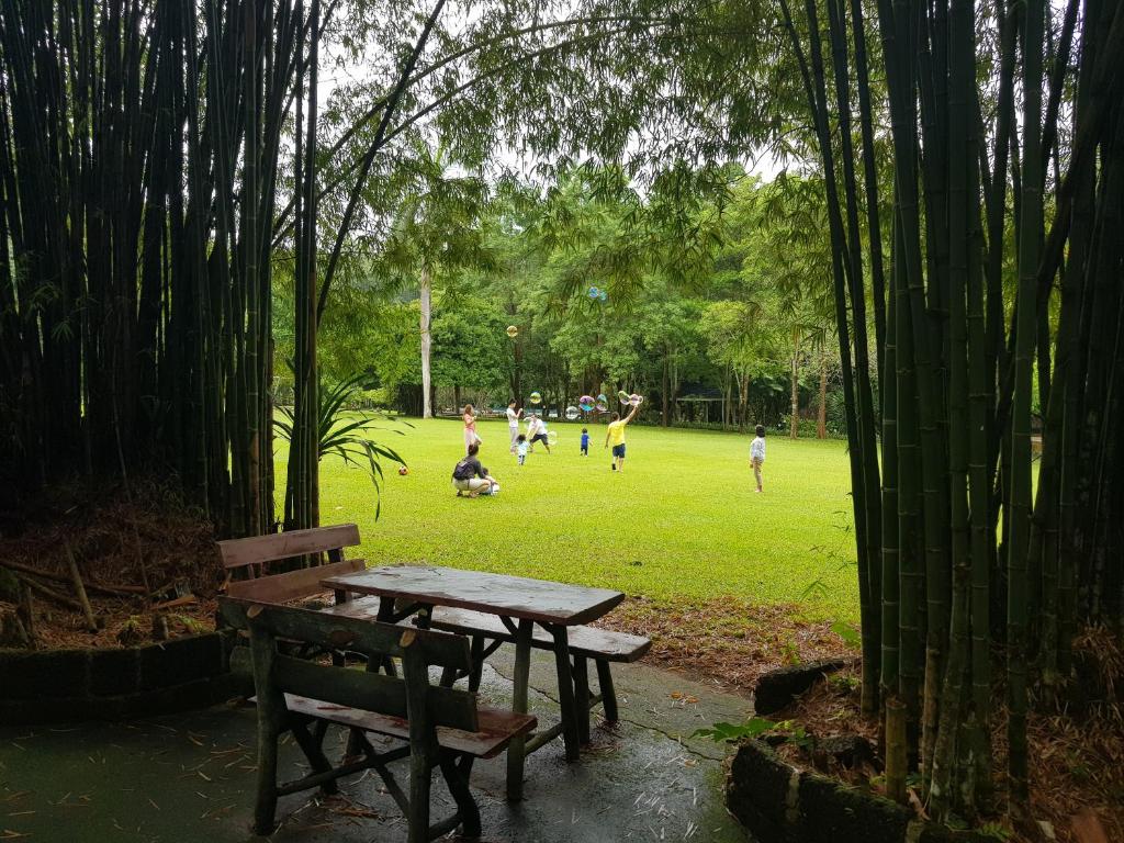 Surrounding environment