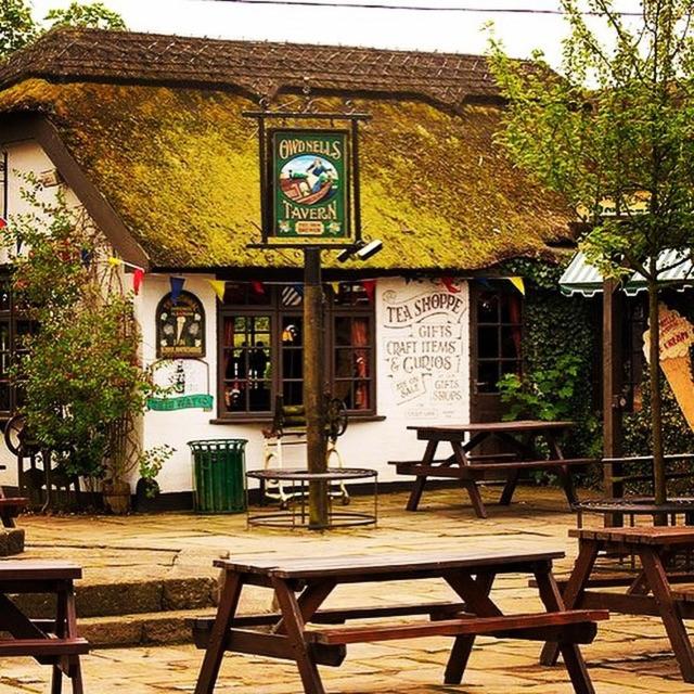 Guy's Thatched Hamlet photo
